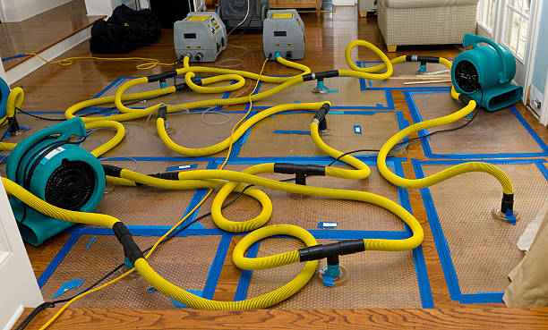 Professional Water Damage Restoration technician working in Henefer, UT